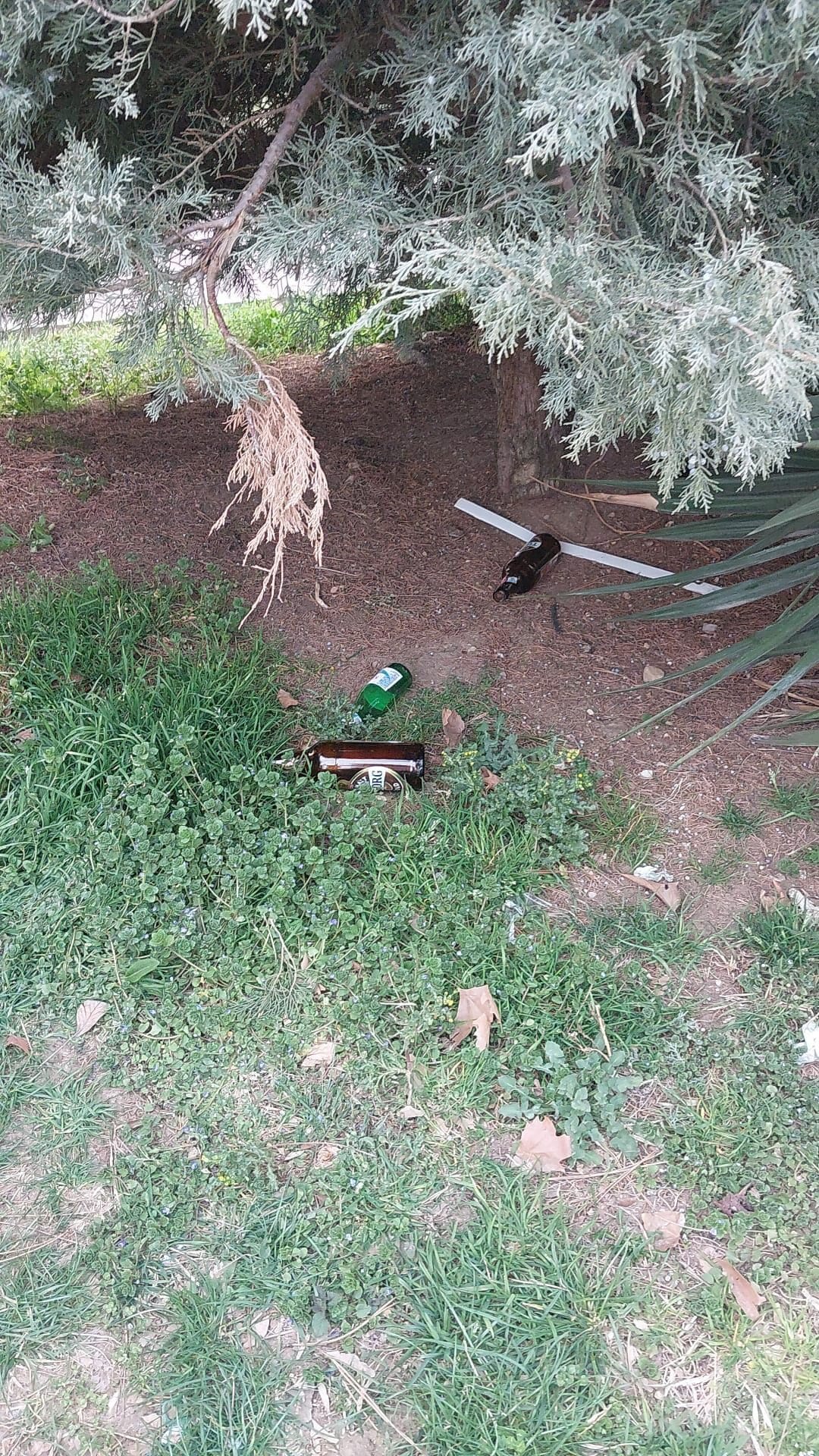 Basın Parkı'nda Ailelerin Huzuru Tehlikede: Ramazan Ayında Artan Rahatsızlık Yetkililere Müdahale Çağrısını Güçlendirdi