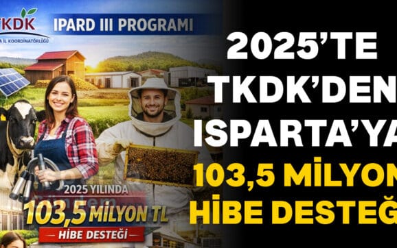 D3
