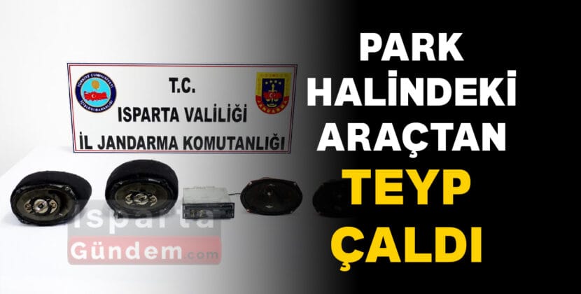 PARK HALINDEKI ARACTAN TEYP CALDI