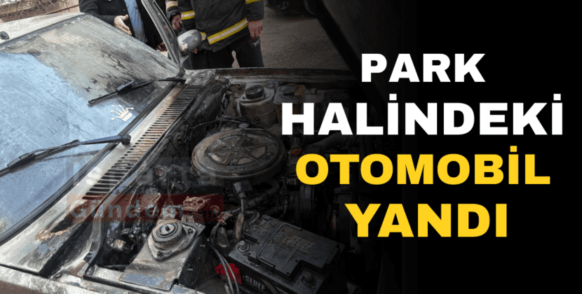 PARK HALİNDEKİ OTOMOBİL YANDI