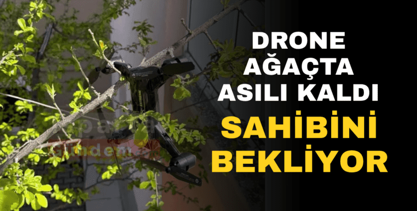 Ağaçta Mahsur Kalan Drone Sahibini Bekliyor