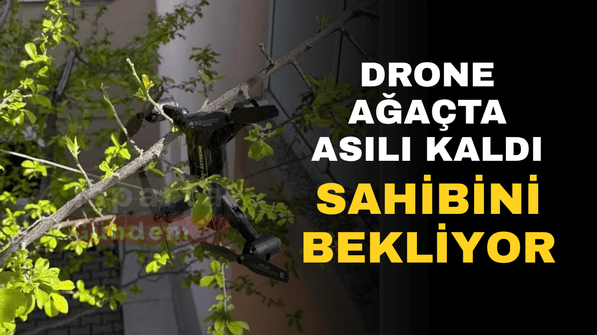 Ağaçta Mahsur Kalan Drone Sahibini Bekliyor